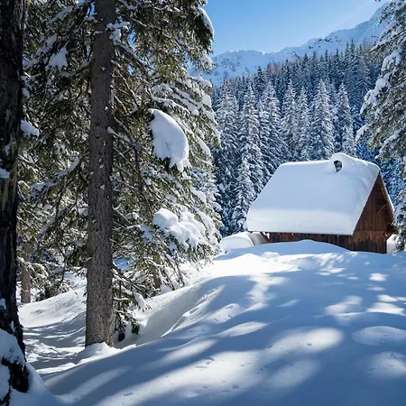 Johannesbad Palace - Bis 11 Kostenfrei Bis Dez 4* 巴特霍夫加施泰因