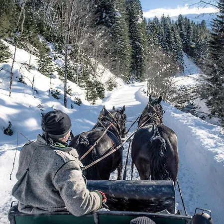 Johannesbad Palace - Bis 11 Kostenfrei Bis Dez