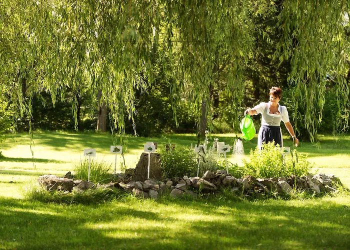 Hotel Johannesbad Palace - Bis 11 Jahre Urlauben Kostenfrei